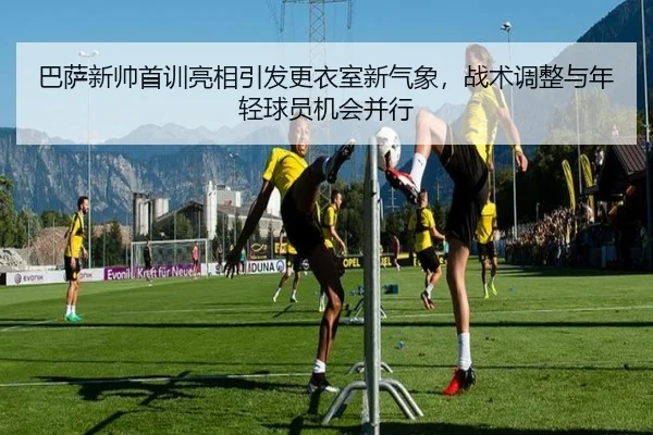 img_1781894322098_141_0_973.jpg（maiqiu）